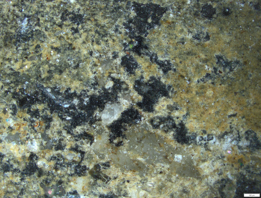 01 false positive colour of black surface.tif