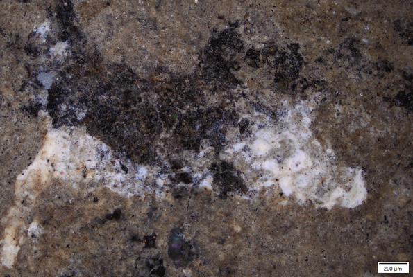 01 white pigment residue.tif