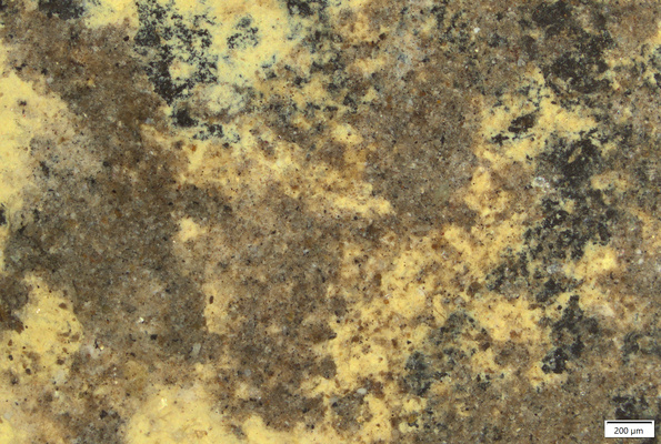 01 yellow coating back.tif