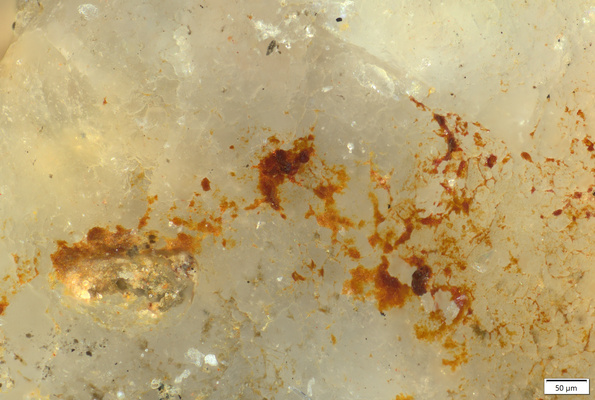 03 possible red pigment on inclusion R side of sole.tif
