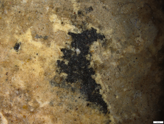 03 yellow coating under sinter on shin.tif