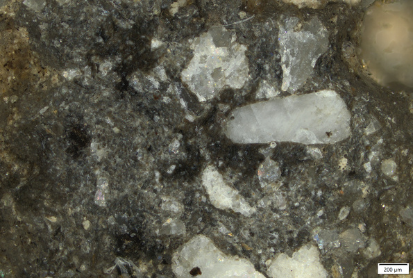 TK032 polished section 01 POL.tif