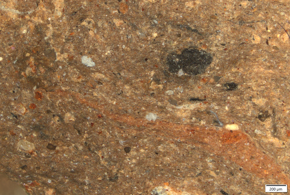 TK044 polished section 01 POL.tif