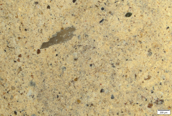 TK061 polished section 01 POL.tif