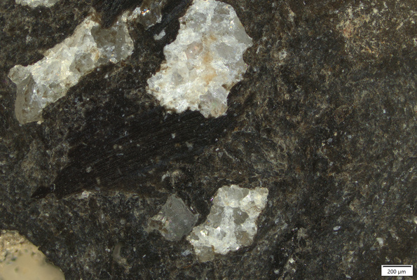 TK075A polished section 02 POL.tif