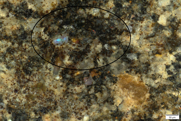 01 black pigment motif detail 200x_mark.tif