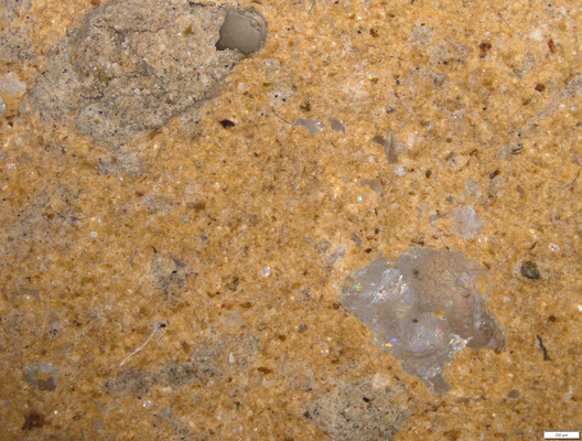 01 inclusion_seeming black spot.tif