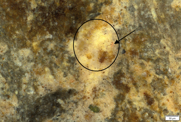 01 yellow pigment residue with red trace and orange spots_mark.tif