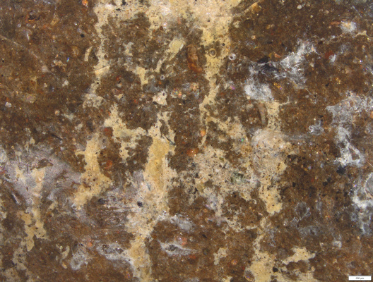 01 yellow pigment under varnish.tif