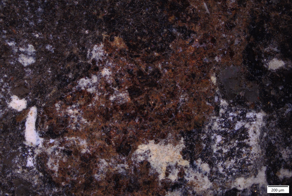 02 red pigment R side.tif
