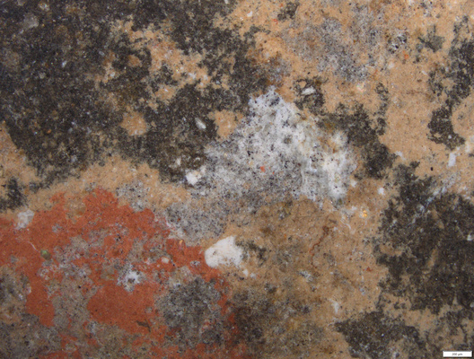 02 red_white_weak orange pigments.tif