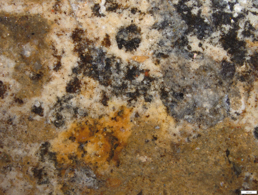 03 black orange and dark red pigments.tif