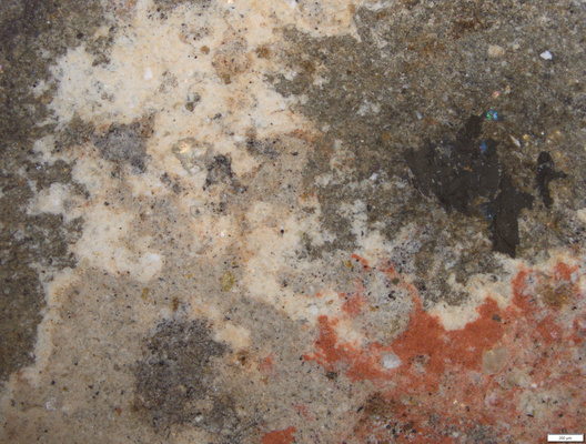 03 red_white pigments head.tif