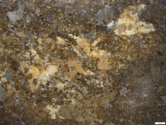 04 yellow pigment traces in upper front.tif