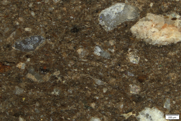 TK020 polished section 02 POL.tif