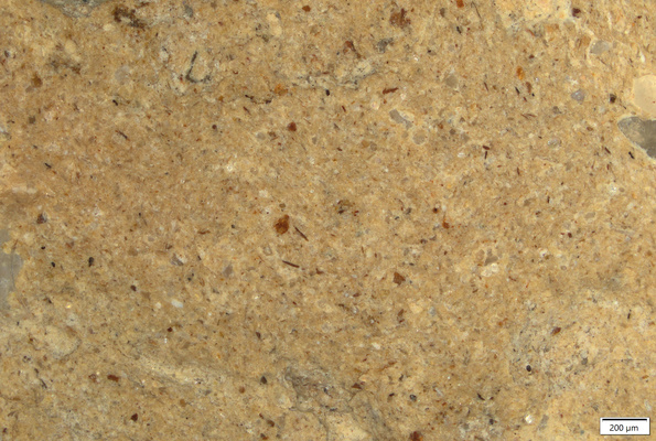 TK036 polished section 01 POL.tif