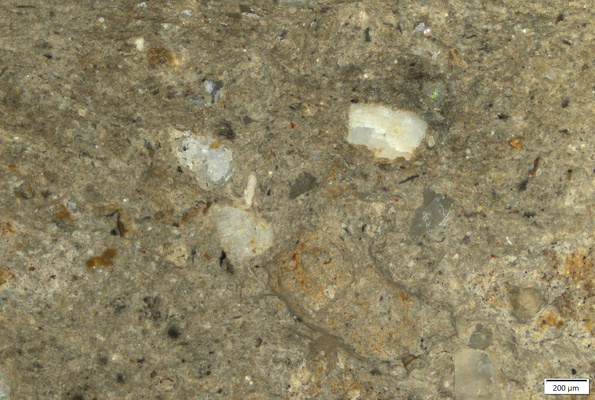 TK039 polished section 01 POL.tif