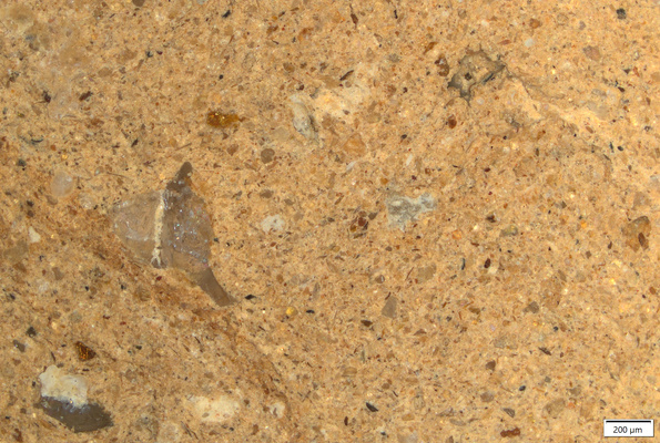 TK074 polished section 01 POL.tif