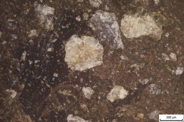 TK077 polished section 01 POL.tif