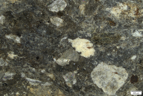 TK203 polished section 01 POL.tif
