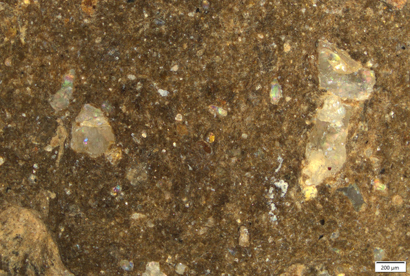 TK213 original surface 01 POL_too tiny for polishsect.tif