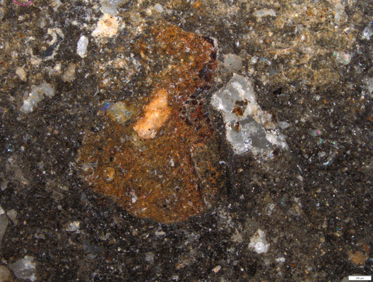 red inclusion or pigment 50x.tif