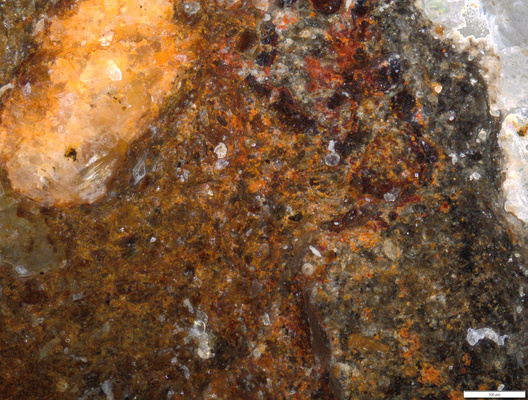 red inclusion or pigment.tif