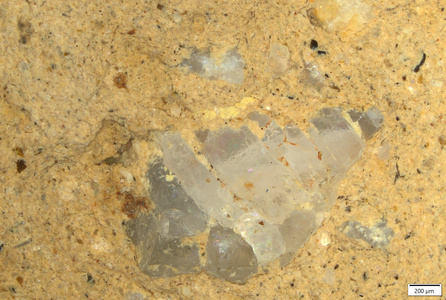 0 yellow and red pigment traces on inclusion.tif