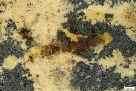 002 dark red crust residue over yellow coating.tif