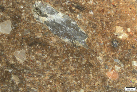 01 TK051 polished section 01 POL.tif