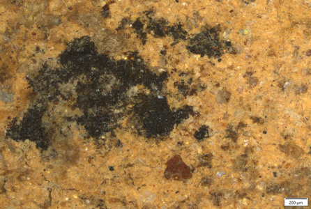01 black manganese pigment 50x.tif