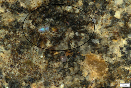 01 black pigment motif detail 200x_mark.tif
