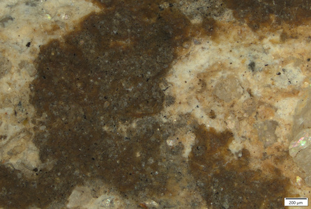 01 brown orange pigmnet outer side.tif