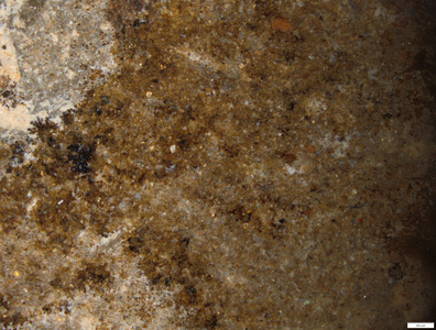 01 brown red in hip aragonite dendrites.tif