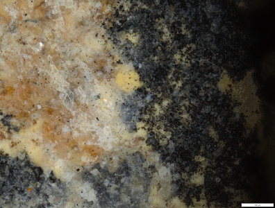 01 detail black pigment nature.tif