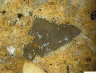01 feldspar inclusion 200x.tif