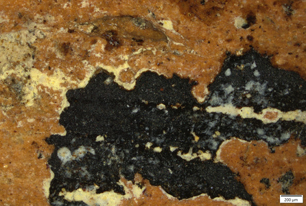 01 manganese black over yellow.tif