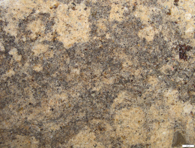 01 no pigment_accumulation of ash in surface depression.tif