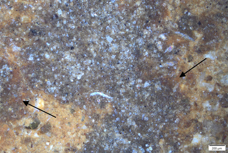 01 orange crust preserved under calk spot mark.tif