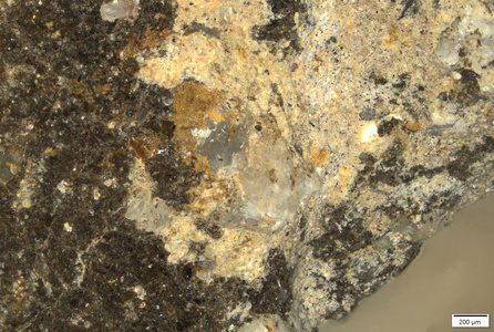 01 orange pigment possibly over light coat mark.tif