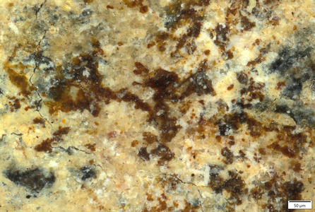01 possible red pigment traces.tif