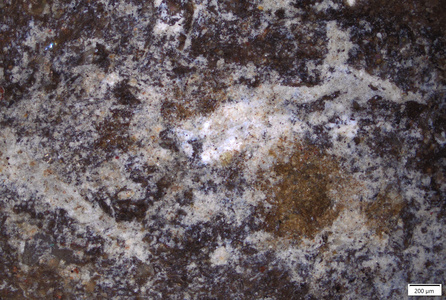 01 possible white pigment trace.tif