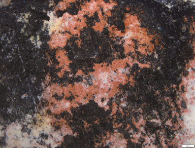 01 red painting on white coating_brushing.tif