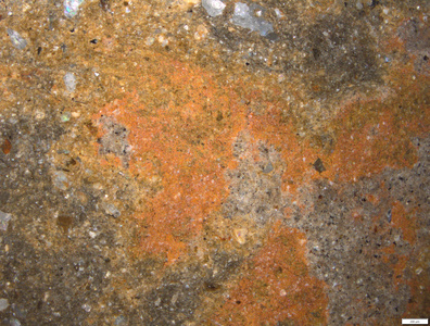 01 red pigment outer side upper.tif