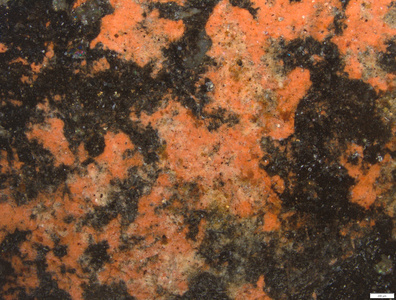 01 red pigment.tif