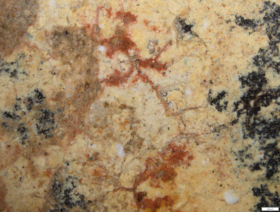 01 red pigmenton yellow coating front.tif