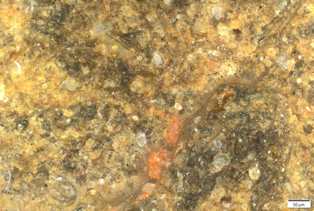 01 red trace on heel.tif