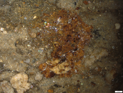 01 seeming red pigment trace.tif