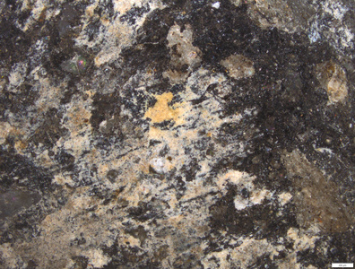 01 seeming yellow residues.tif