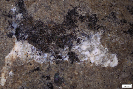 01 white pigment residue.tif